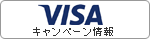 banner_camp_visa